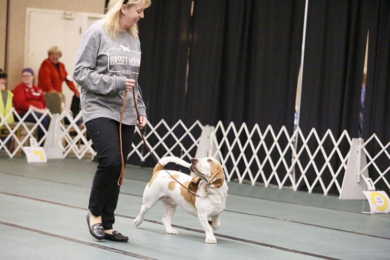 Rally Obedience in Lancaster, NY Premier Dog Sports & Event Center