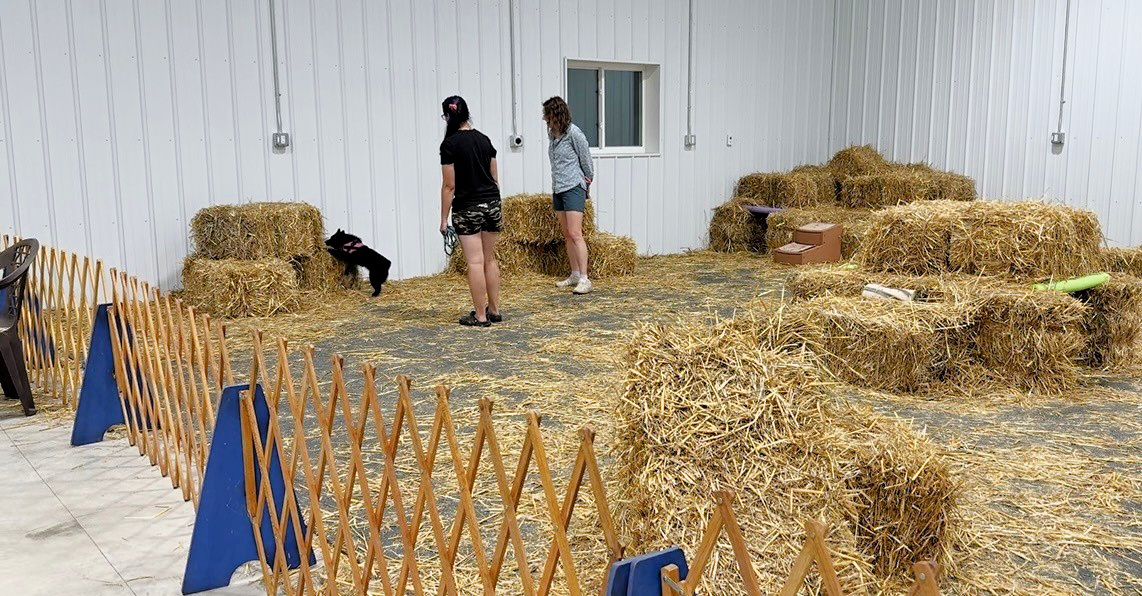 Barn Humnt Ribbons Barn Hunt in Lancaster, NY | Premier Dog Sports & Event Center